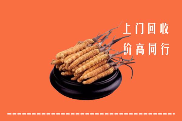 收购行情：玉溪市峨山回收散虫草