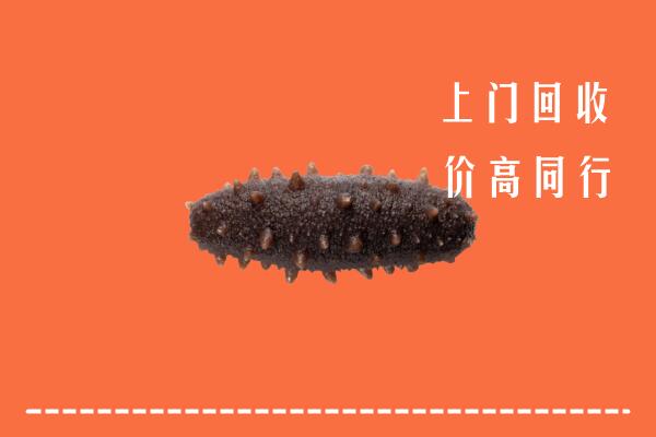 玉溪市峨山回收海参