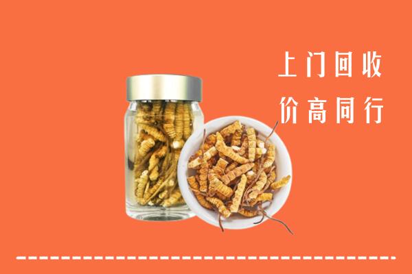 玉溪市峨山回收冬虫夏草